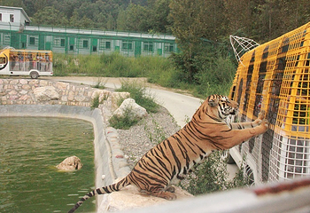 栾川竹海野生动物园第 36 张图片