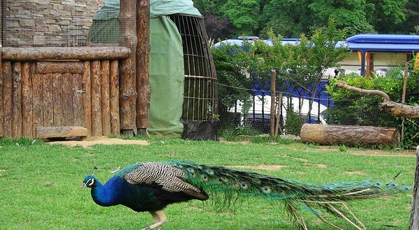 鸟语林(滨海中路店)