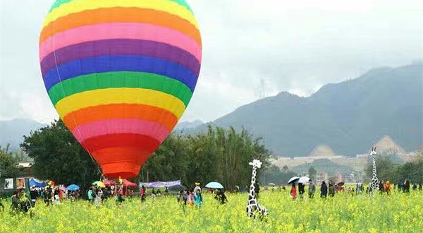 安庆热气球油菜花田