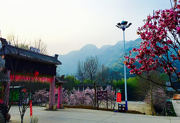 豫西大峡谷风景区第 74 张图片