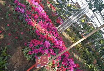 辽阳首山生态园第 4 张图片