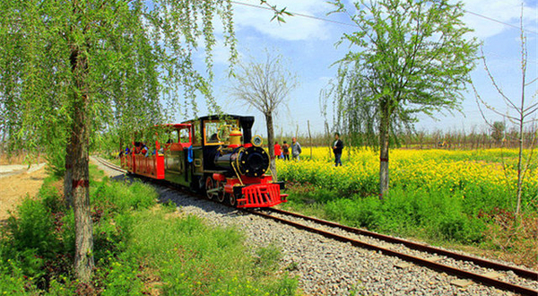 春田公社油菜花节