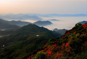 羊岩山茶文化园景区第 5 张图片