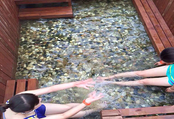 乐亭丞起温泉水世界第 4 张图片