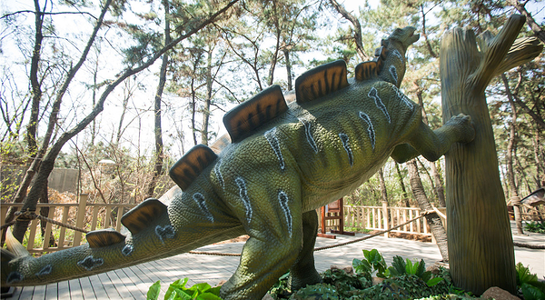 37°梦幻海森林乐园