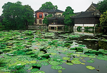 南浔古镇第 40 张图片