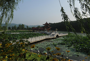 大梨树生态旅游区第 6 张图片