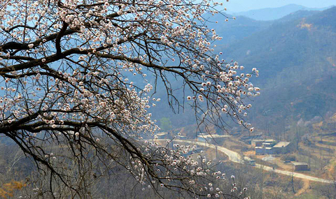 黄金寨原生态旅游区