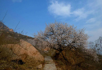 黄金寨原生态旅游区第 33 张图片