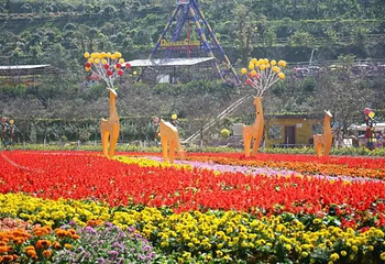花海欢乐世界第 7 张图片