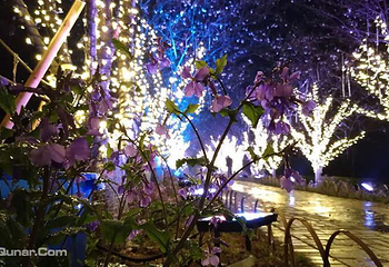 夜游凤凰沟灯光秀第 4 张图片