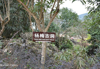 杨梅古洞景区第 5 张图片
