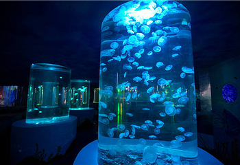 水缤纷海洋王国第 9 张图片