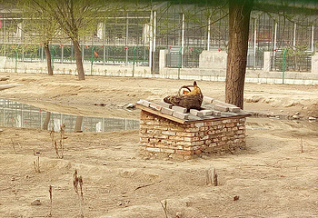 北京牡丹文化产业园第 8 张图片