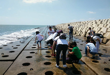 海阳连理岛第 25 张图片
