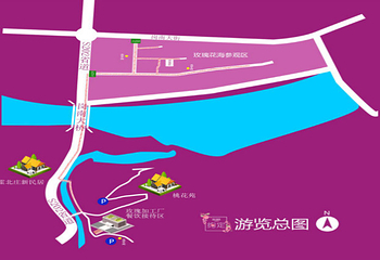 河北圣地玫瑰谷第 8 张图片