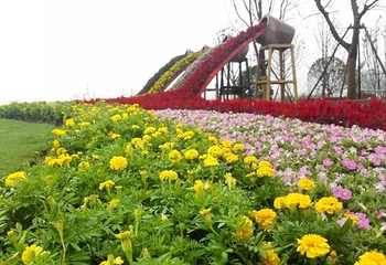 逸趣·沙洲玫瑰庄园第 5 张图片