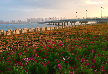 海阳连理岛第 8 张图片