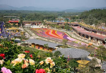 花海欢乐世界第 16 张图片