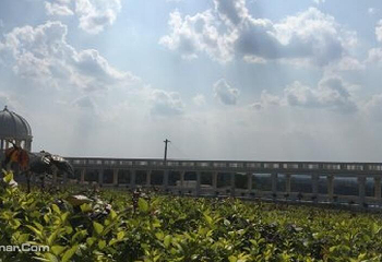 自贡玫瑰海第 13 张图片