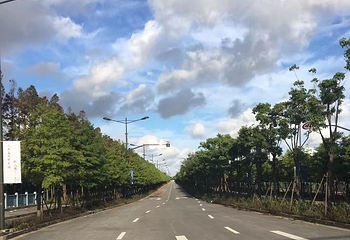 长兴岛郊野公园第 44 张图片