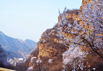 福慧山·红崖谷第 23 张图片