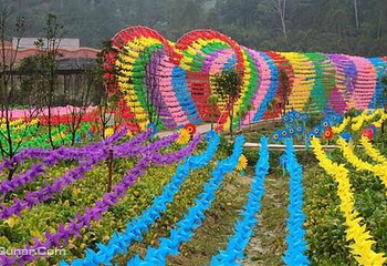 西山踏青节第 1 张图片