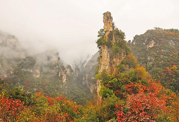 九路寨生态旅游区第 40 张图片