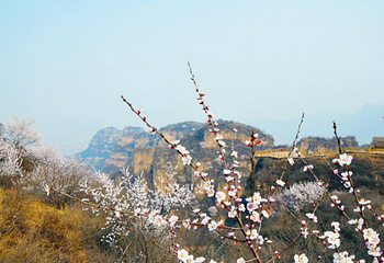 福慧山·红崖谷第 20 张图片