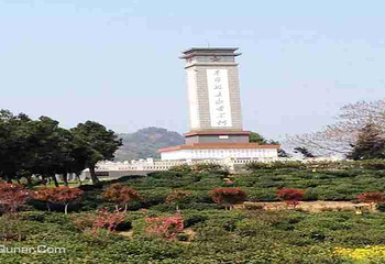 霍山县岘春园茶园第 3 张图片