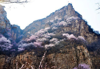 福慧山·红崖谷第 31 张图片