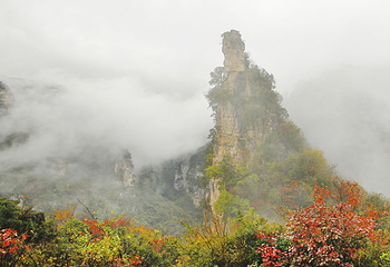 九路寨生态旅游区第 27 张图片