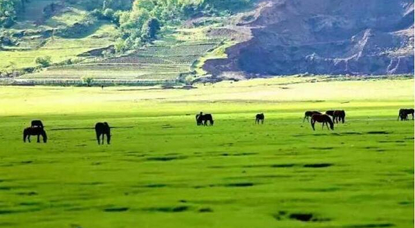 拉市海木氏土司马场