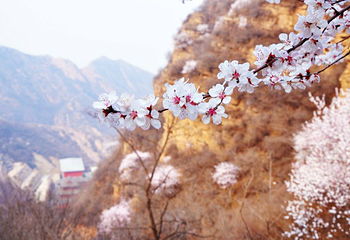福慧山·红崖谷第 18 张图片