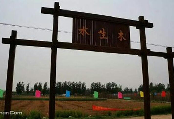 水生木农场第 1 张图片