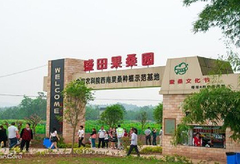 潼南采桑节第 1 张图片