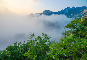 云梦仙境自然风景区第 31 张图片
