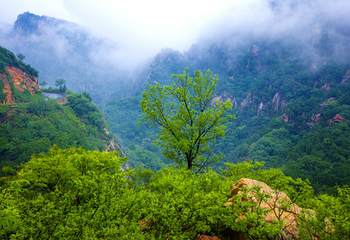 云梦仙境自然风景区第 66 张图片