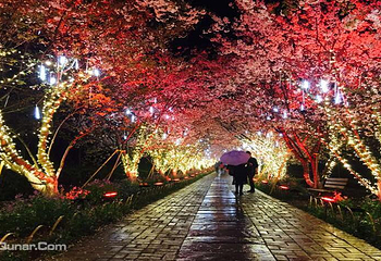 夜游凤凰沟灯光秀第 2 张图片