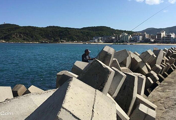 后海村第 2 张图片