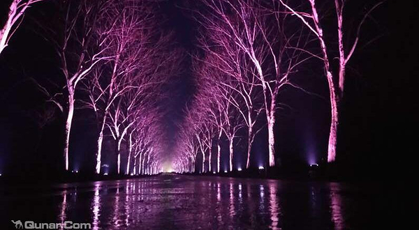 夜游凤凰沟灯光秀