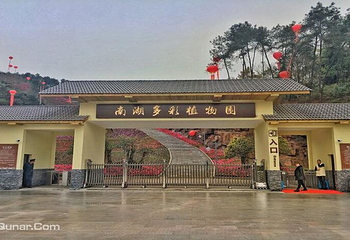南湖多彩植物园第 35 张图片