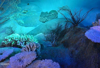 分界洲岛海洋馆第 2 张图片