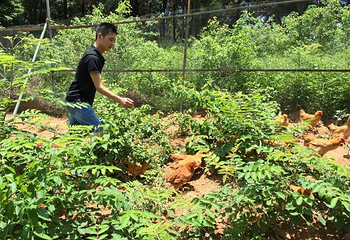 松湖生态园第 4 张图片