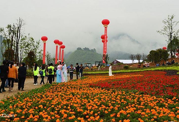 百花渡第 4 张图片