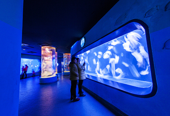 青岛水族馆第 8 张图片