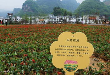 百花渡第 2 张图片