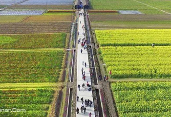 恩平幸福田园第 7 张图片