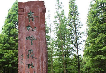 青松岭森林公园第 8 张图片