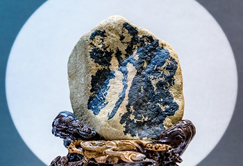 石光博物馆第 7 张图片